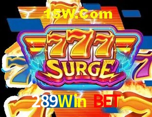Login Seguro 289Win Bet