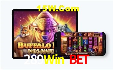 Recursos de Bônus 289Win Bet